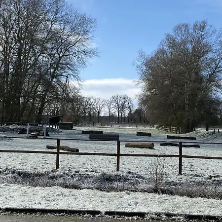 Blockhaus Mitten In Der