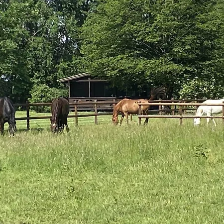 On A Riding Stable Holiday home *