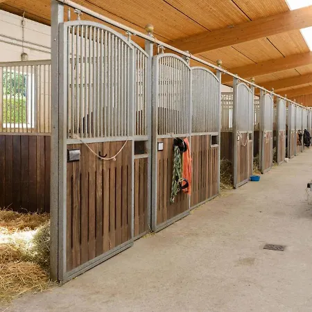 Blockhaus Mitten In Der