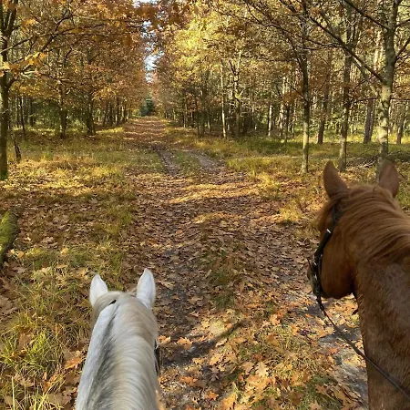 On A Riding Stable Eschede