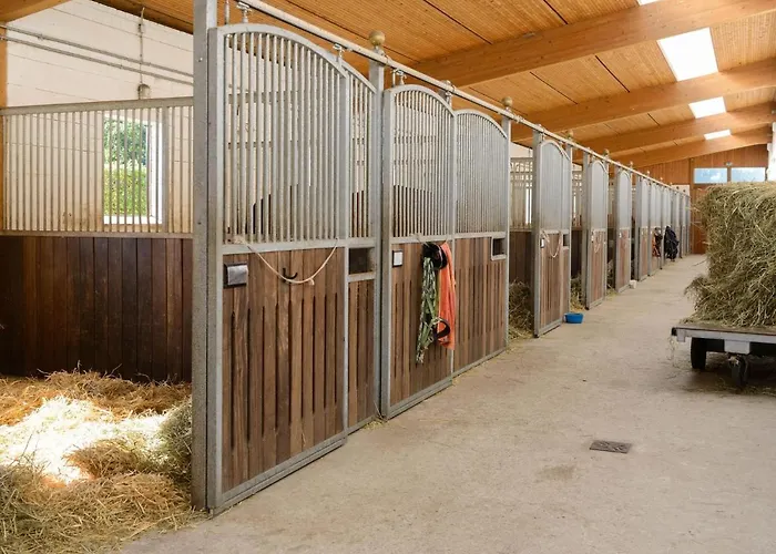 Blockhaus Mitten In Der