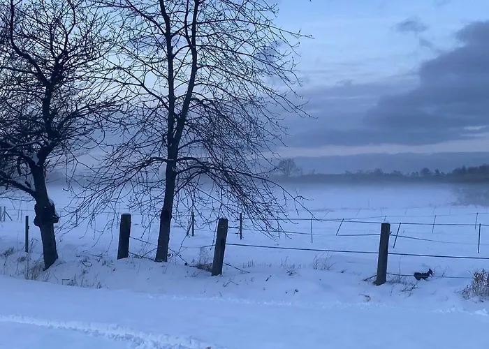 Semesterbostad Blockhaus Mitten In Der *