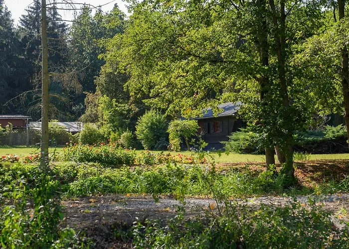 Blockhaus Mitten In Der * Eschede